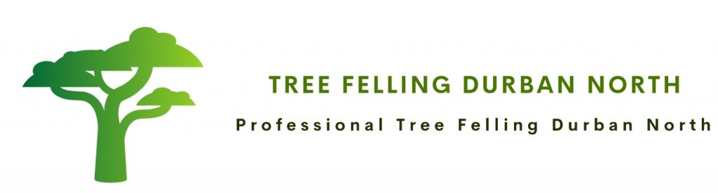Tree Felling Durban North