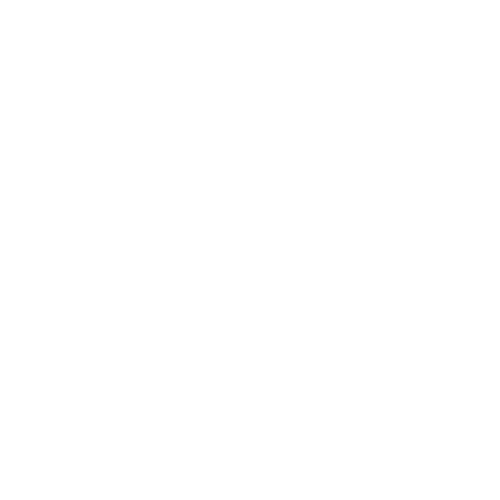 Palm tree Removal